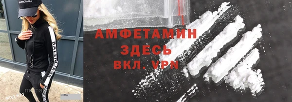 гашик Алексин