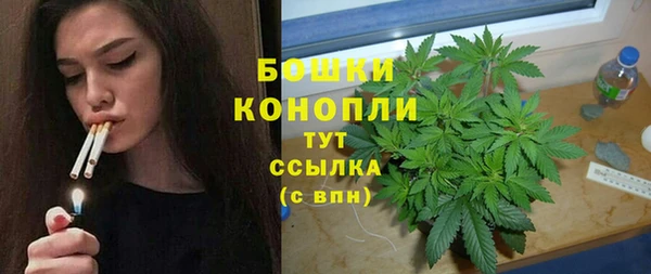 крисы Алексеевка