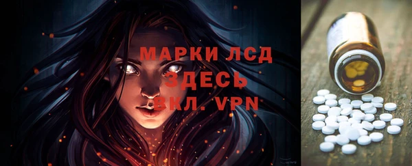 гашик Алексин