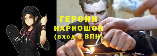 гашик Алексин