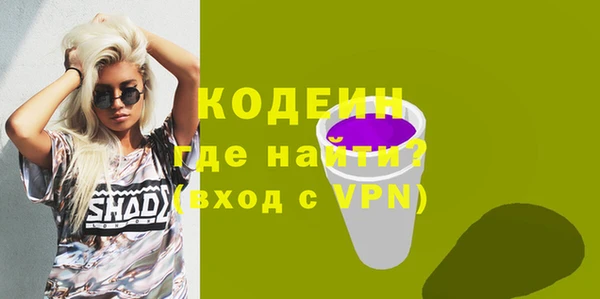 гашик Алексин