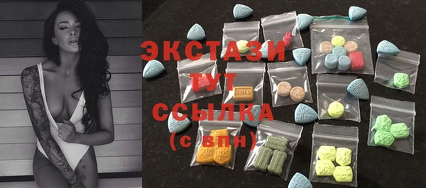 гашик Алексин