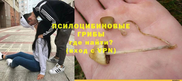 крисы Алексеевка