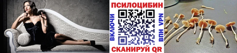 Галлюциногенные грибы ЛСД  купить наркотик  Кореновск 